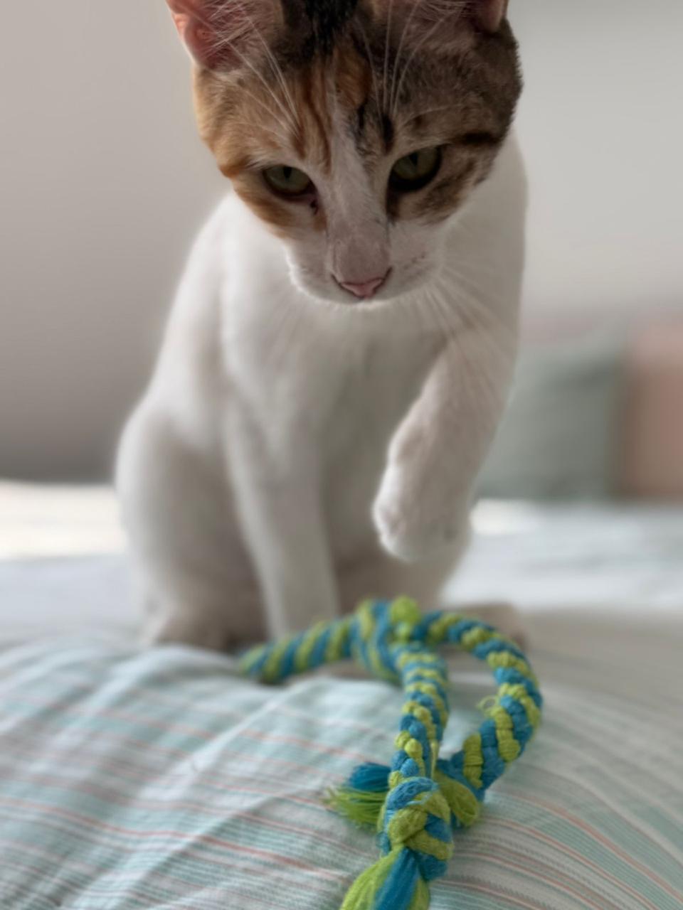 lucy6